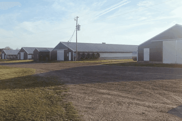 Two Ton Farm poultry houses